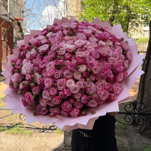 Пионовидные кустовые розы бомбастик 71шт