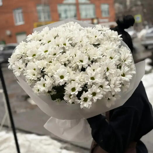 Букет ромашковых хризантем 🤍