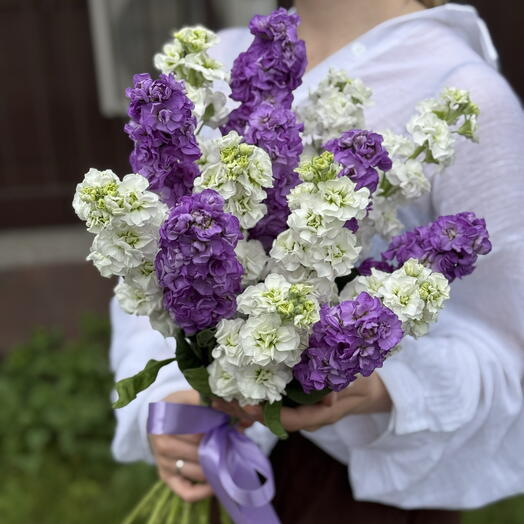 Маттиола, 15 шт