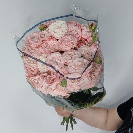 Кустовая роза Спрей Мадам бомбастик 10шт (40 см)