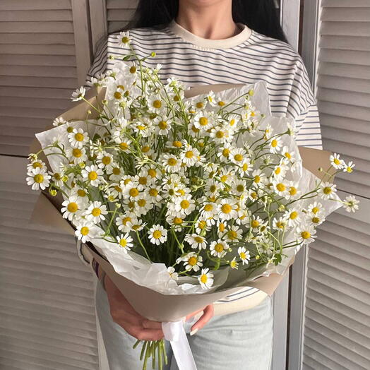 Пышный букет из кустовой ромашки
«Ромашковое облако»🌸