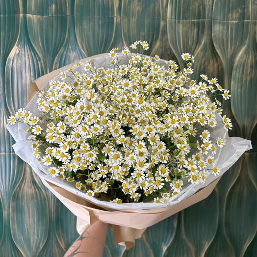 Ромашки