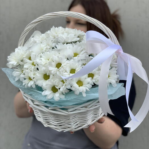 корзина белых ромашек кустовых