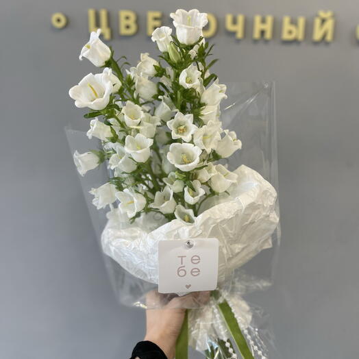 Воздушный монобукет «Лесная нимфа» из белых колокольчиков кампанулы