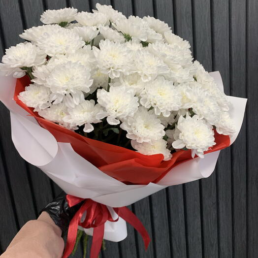 Прекрасный бело красный Алтай
