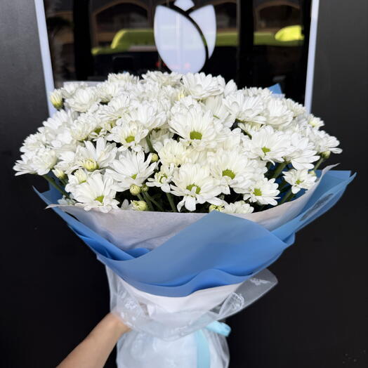 Maison White chrysanthemum🤍