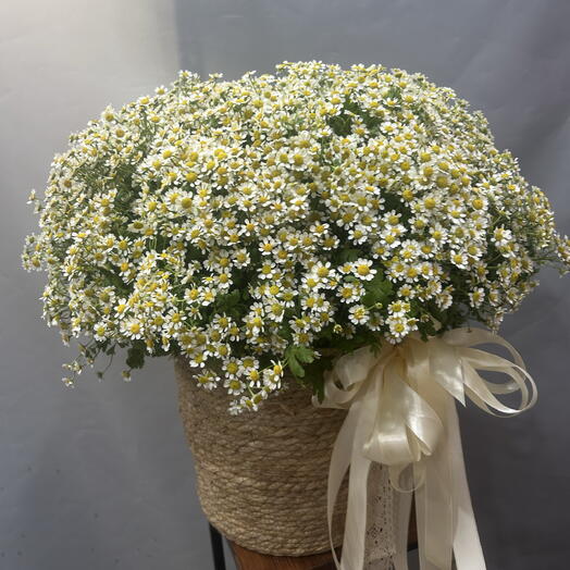 Корзина с ромашками XL