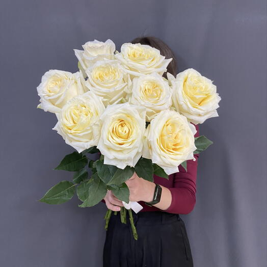 Роза Candlelitht. 9 роз