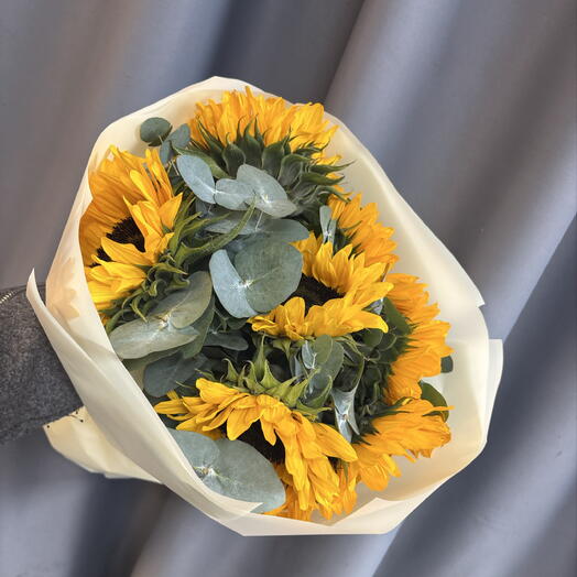 Подсолнухи 🌻