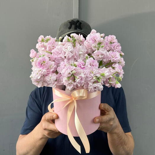 Розовая маттиола в шляпной коробке 💞