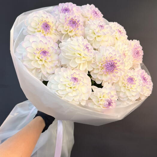 Георгины 15 шт