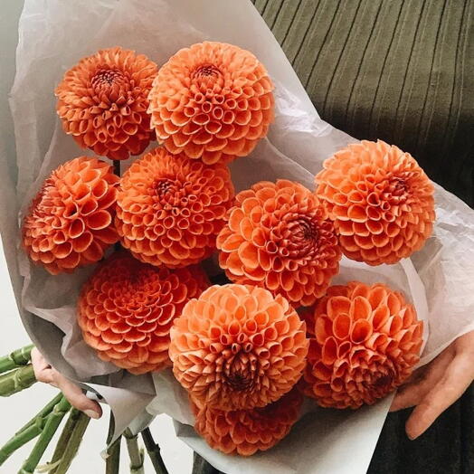 🧡 «Солнечный акцент» — букет из оранжевых георгин