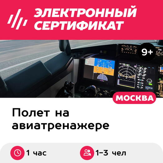 Подарочный сертификат Полет на авиатренажере самолета Boeing 737 MAX, 1 час, 1-3 чел., выходные