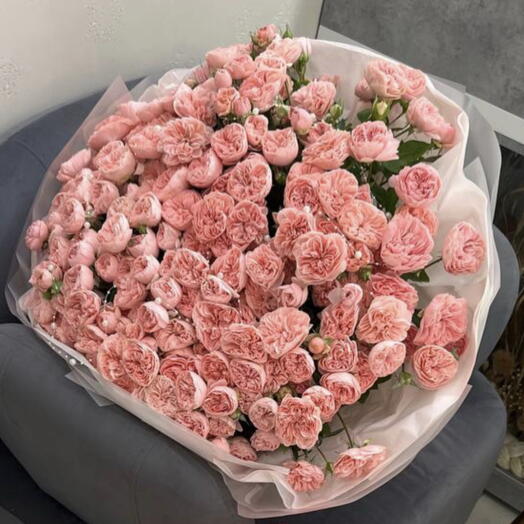 Garden Spray Roses