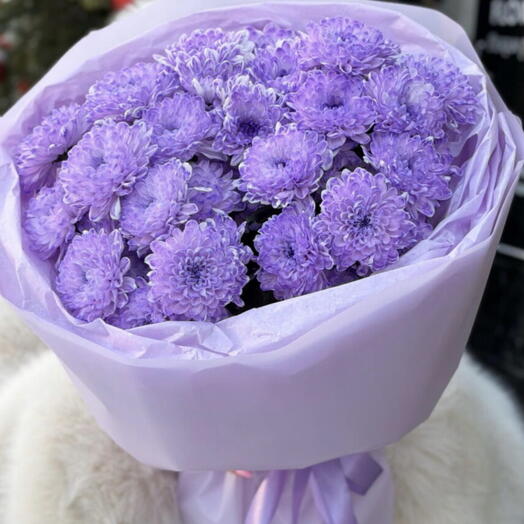 Пышная кустовая хризантема цвета лаванды 💜