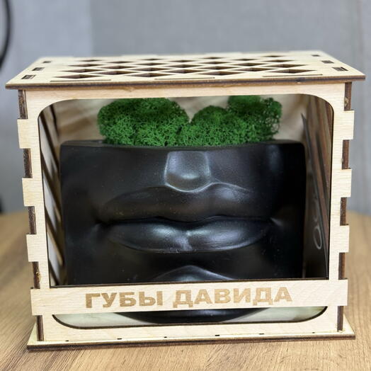 Кашпо «Губы» с мхом, черное