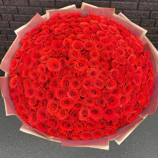 Bouquet of 155 red roses 😍