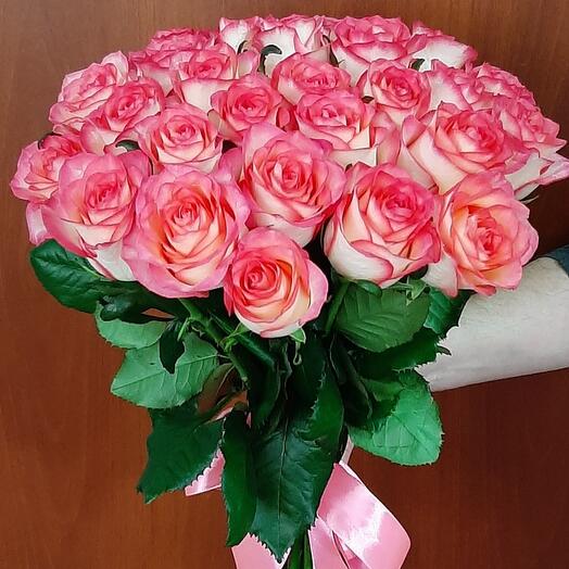 29 rosas de Jumilia 🌹 🌹 🌹
