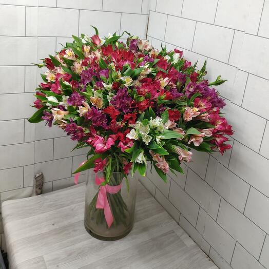 Alstroemeria