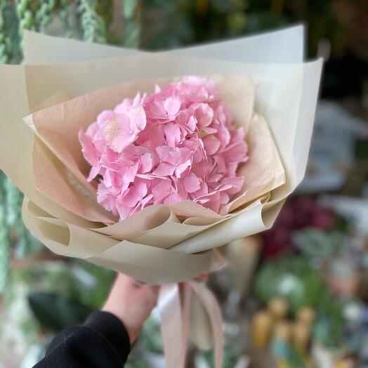 Hortensia rosa comliment