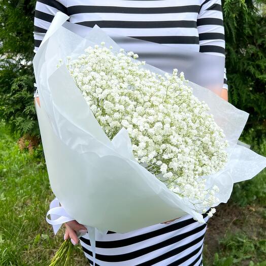 Bouquet of white Gypsophila