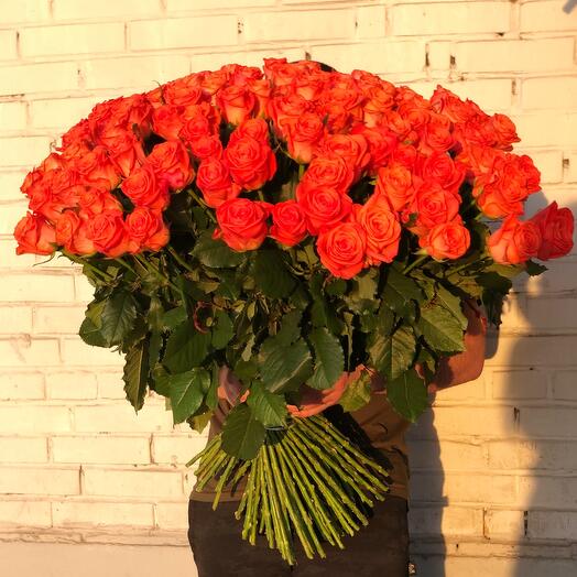  101 coral roses