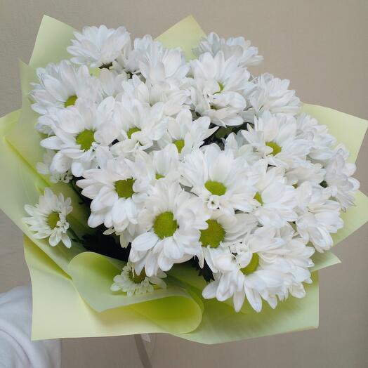 Daisies