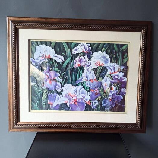 Iris