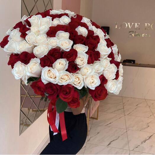 101 Premium Roses