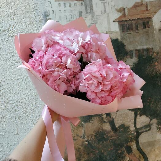 Hydrangeas