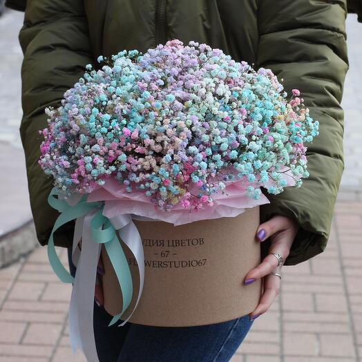 Gypsophila rainbow