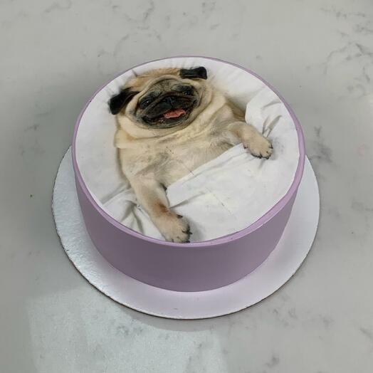 Бенто Макси