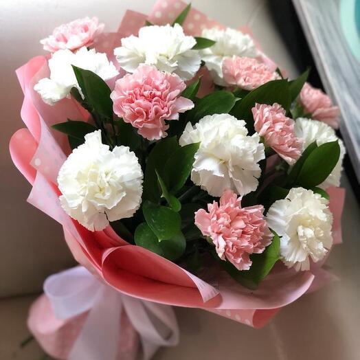 Dianthus white-pink