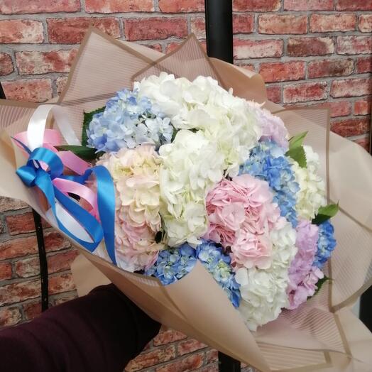 Bouquet of hydrangeas mix
