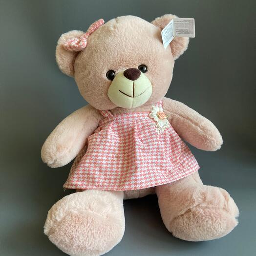 Polina the bear is a soft toy