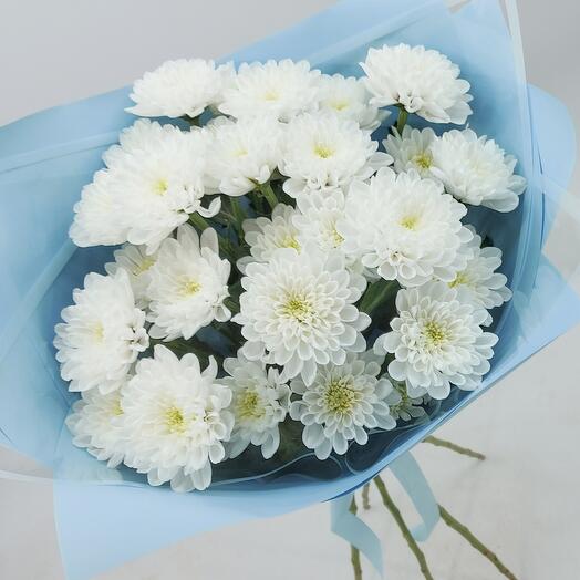A white cloud of chrysanthemums