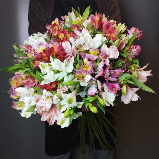 Mono ramo de alstroemeria 35