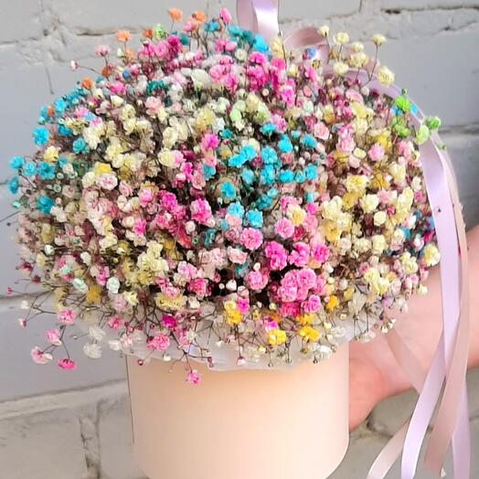 🌈 Rainbow gypsophila 🌈