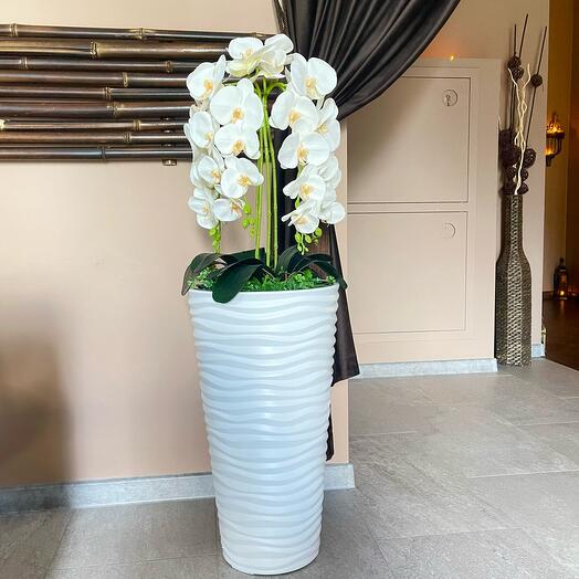 Кашпо с орхидеями