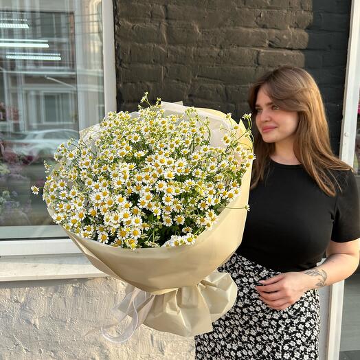 Ромашки