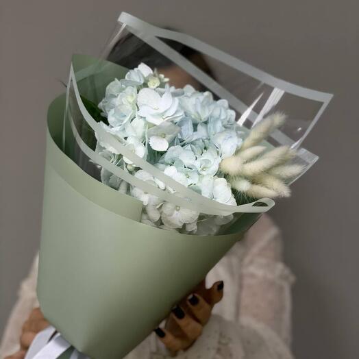 Bouquet of hydrangea compliments