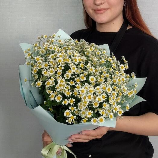 Букет кустовых ромашек танацетум (М)