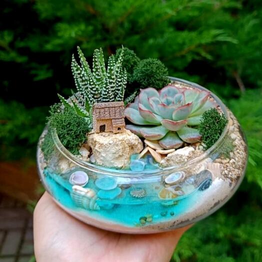 Флорариум с суккулентами в плошке
