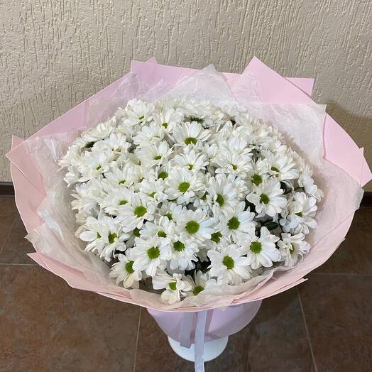 Ромашковый рай