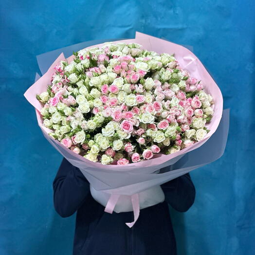 71 Pink And White Baby Roses