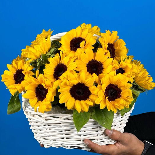 SUNFLOWER IN A BASKET