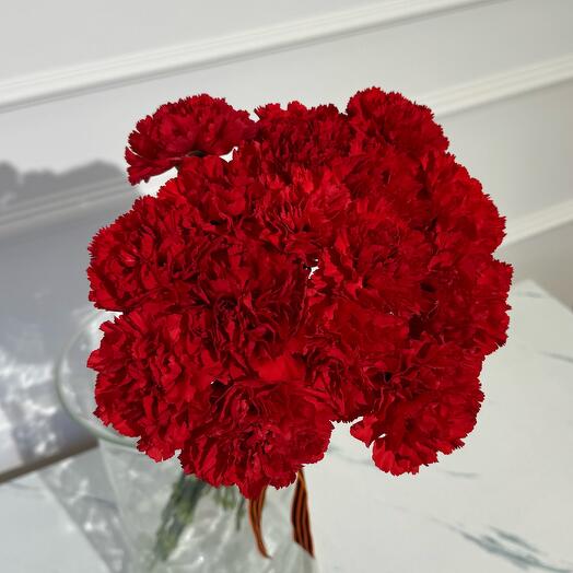 Bouquet of 15 red carnations/dianthuses