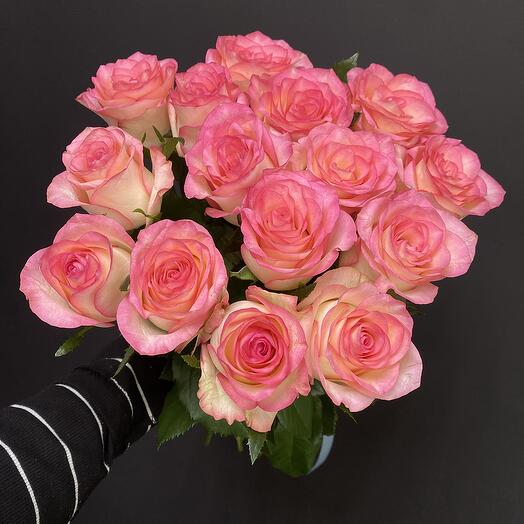 15 rosas Rosadas Jumilia 60 cm