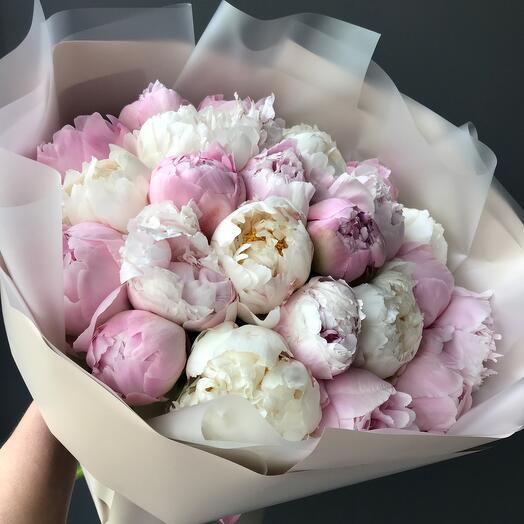 Букет 25 пионов ❣️