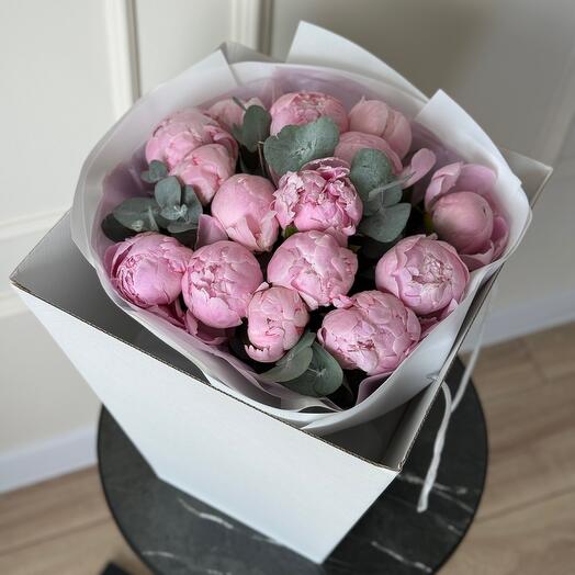 Пионы Sara Bernard